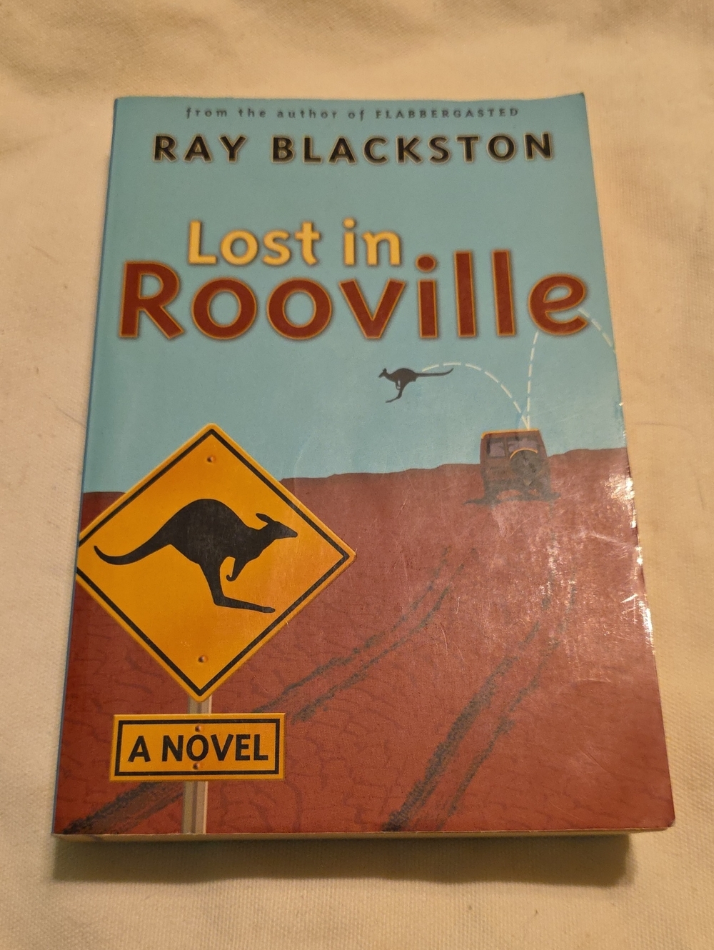 Lost in Rooville - Blue and Brown Cover